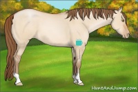 Horse Color:Brown Pearl Dun