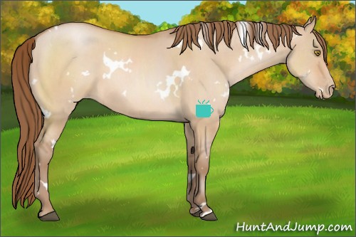 Horse Color:White Spotted Bay Pearl Dun 