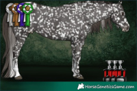 Horse Color:Liver Chestnut Sabino Snowflake Varnish 