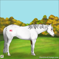Horse Color:Brown Sabino 