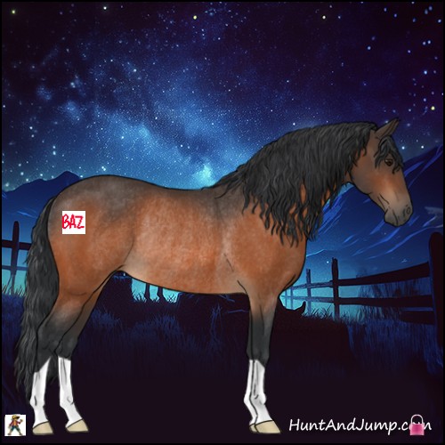 Horse Color:Bay Rabicano 