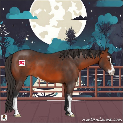 Horse Color:Brown Sabino