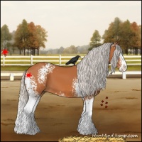Horse Color:White Spotted Silver Bay Splash 