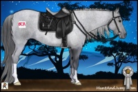 Horse Color:Blue Roan 