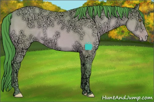 Horse Color:Watercolor Sable Champagne Ice Sabino 