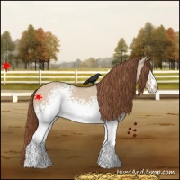 Horse Color:White Spotted Red Dun