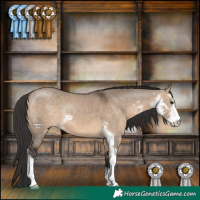 Horse Color:Brown Dun Sabino 