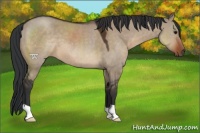 Horse Color:Brown Dun