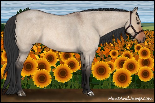 Horse Color:Bay Roan Dun 