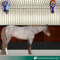 Horse Color:Liver Red Roan Rabicano 