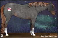 Horse Color:Liver Red Roan 