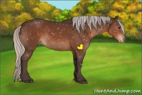 Horse Color:Silver Brown Sabino Appaloosa 