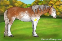 Horse Color:White Spotted Silver Buckskin Tobiano 