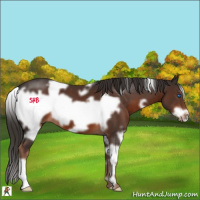 Horse Color:White Spotted Liver Chestnut Frame