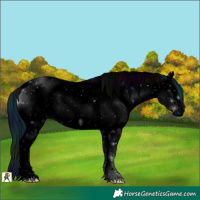 Horse Color:ERROR: UNKNOWN ANOMALY