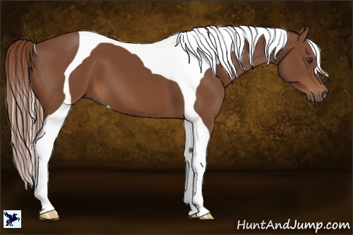 Horse Color:Chestnut Tobiano