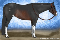 Horse Color:Brown Rabicano 