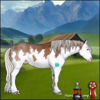 Horse Color:Silver Brown Roan Splash 