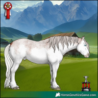 Horse Color:Silver Brown Roan Splash 