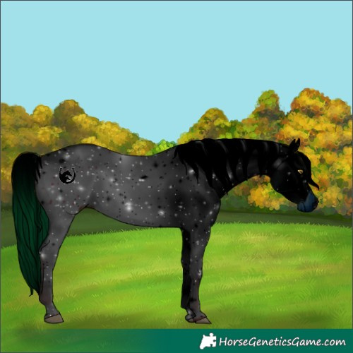 Horse Color:ERROR: UNKNOWN ANOMALY