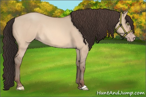Horse Color:Amber Champagne Dun
