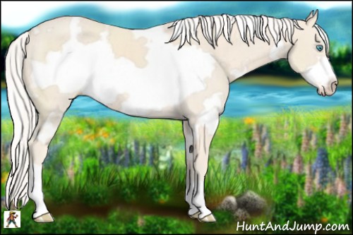 Horse Color:White Spotted Cremello Frame 