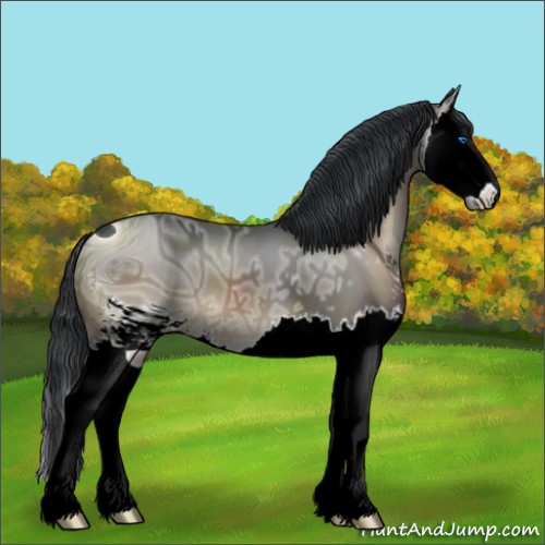 Horse Color:ERROR: UNKNOWN ANOMALY