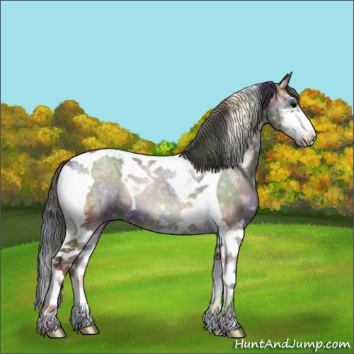 Horse Color:ERROR: UNKNOWN ANOMALY