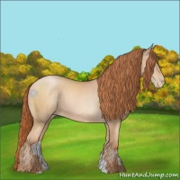 Horse Color:Buckskin Pearl 