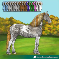 Horse Color:Painted White Spotted Classic Champagne Ice Pearl Onyx Tobiano