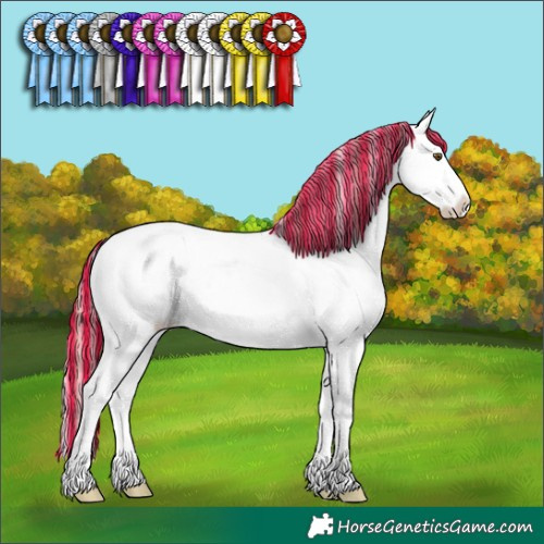 Horse Color:Painted Gold Champagne Onyx Sabino Splash Tobiano Appaloosa