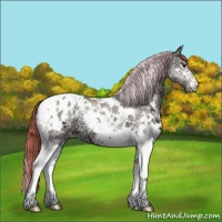 Horse Color:Painted Chocolate Classic Champagne Ice Onyx Splash Tobiano Appaloosa 