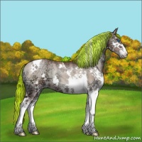 Horse Color:Painted Chocolate Blue Onyx Ice Pearl Sabino Splash Tobiano Brindle