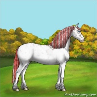 Horse Color:Painted Chocolate Black Ice Pearl Sabino Splash Varnish 