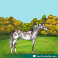 Horse Color:Platinum White Spotted Chocolate Brown Dun 