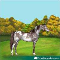 Horse Color:Platinum White Spotted Chocolate Brown Dun 
