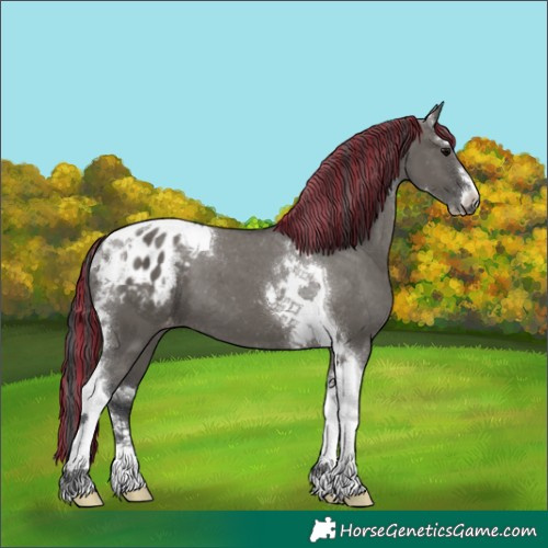 Horse Color:Painted Grullo Sabino Tobiano Appaloosa 