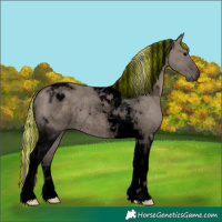 Horse Color:Void Painted Silver Grullo Tobiano Rabicano 