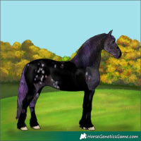 Horse Color:Void Nacre Watercolor Brown Ice Dun Tobiano Appaloosa 