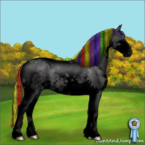 Horse Color:Void Painted Black Splash Tobiano Appaloosa 