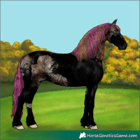 Horse Color:Void Painted Liver Red Onyx Ice Sabino Splash Tobiano 