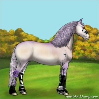 Horse Color:Watercolor Silver Bay Chinchilla Onyx Sabino 