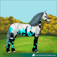 Horse Color:ERROR: UNKNOWN ANOMALY