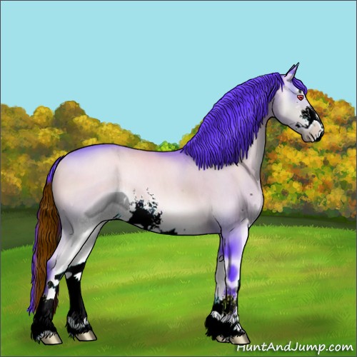 Horse Color:ERROR: UNKNOWN ANOMALY