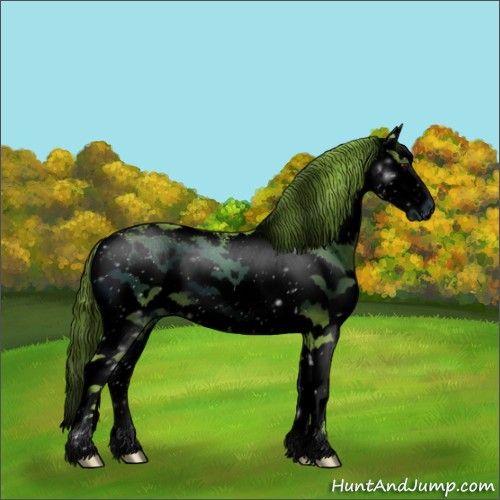 Horse Color:ERROR: UNKNOWN ANOMALY