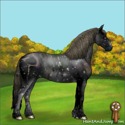 Horse Color:ERROR: UNKNOWN ANOMALY