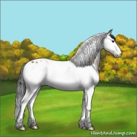 Horse Color:Bay Onyx Sabino Splash Tobiano 
