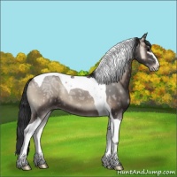 Horse Color:Blue Onyx Ice Sabino Tobiano 