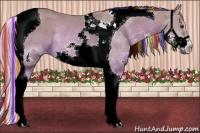 Horse Color:Painted Watercolor Chestnut Splash Tobiano Rabicano 