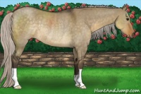 Horse Color:Silver Smoky Grullo Rabicano 